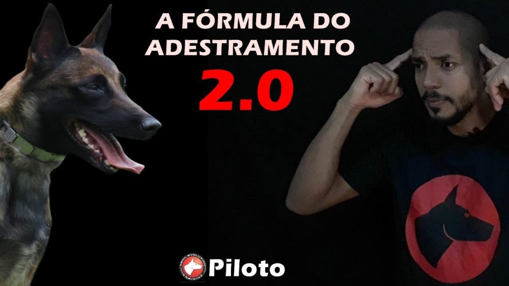 Capa do curso A Fórmula do Adestramento 2.0 – Dionatas Piloto