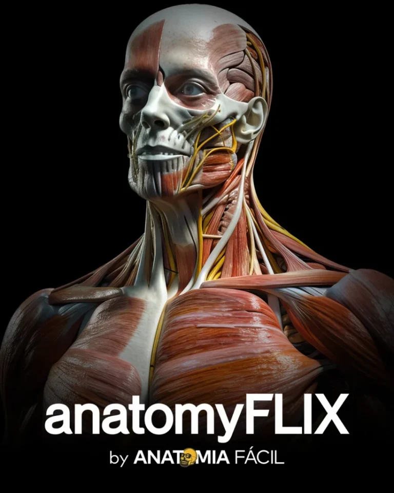 Capa do curso Anatomyflix 2.0 – Anatomia Fácil
