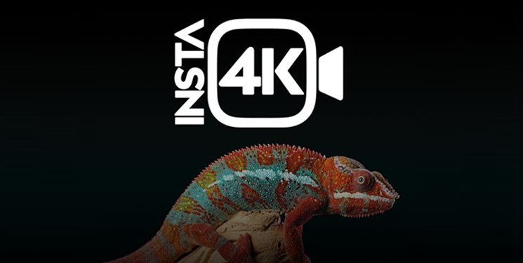 Capa do curso Insta 4K – Rafael Palazzio