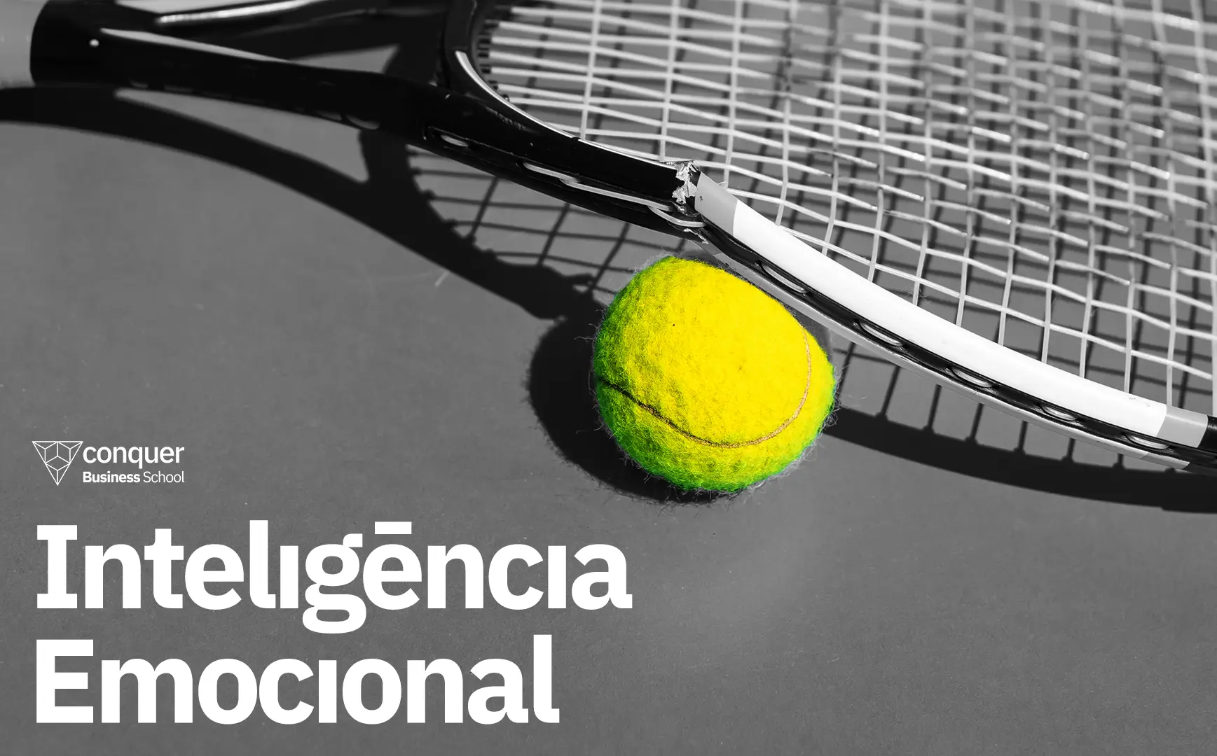Capa do curso Inteligência Emocional – Conquer