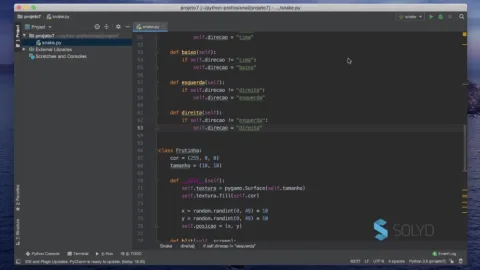 Python Profissional na Prática – Guilherme Junqueira