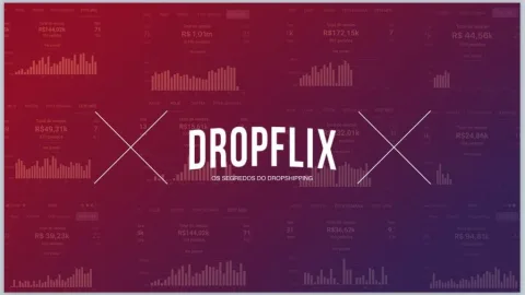 Dropflix – os Segredos do Dropshipping