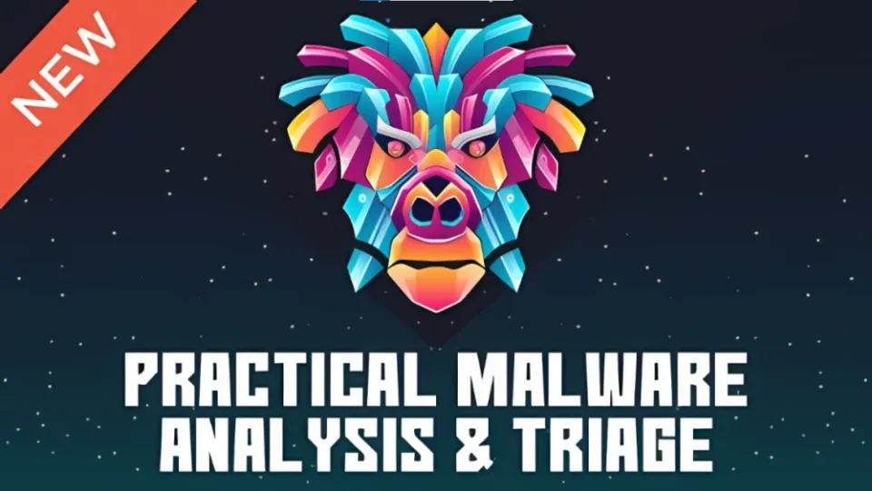 Capa do curso Practical Malware Analysis & Triage – TCM