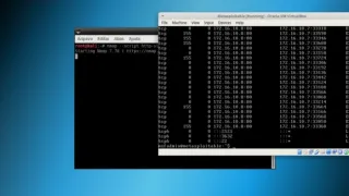 Ataques de Negação de Serviço (Dos e Ddos) C/ Kali Linux