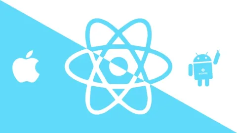 React Native ZP – B7Web