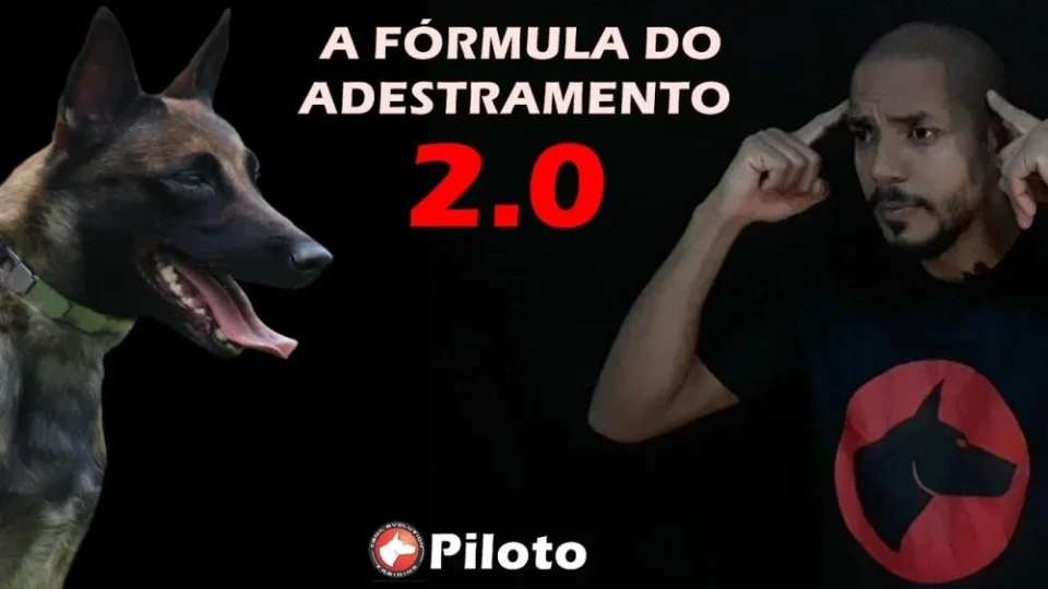 Capa do curso A Fórmula do Adestramento 2.0 – Dionatas Piloto