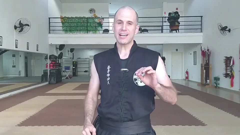 Capa do curso Kung FU em Casa – Dragão Chinês