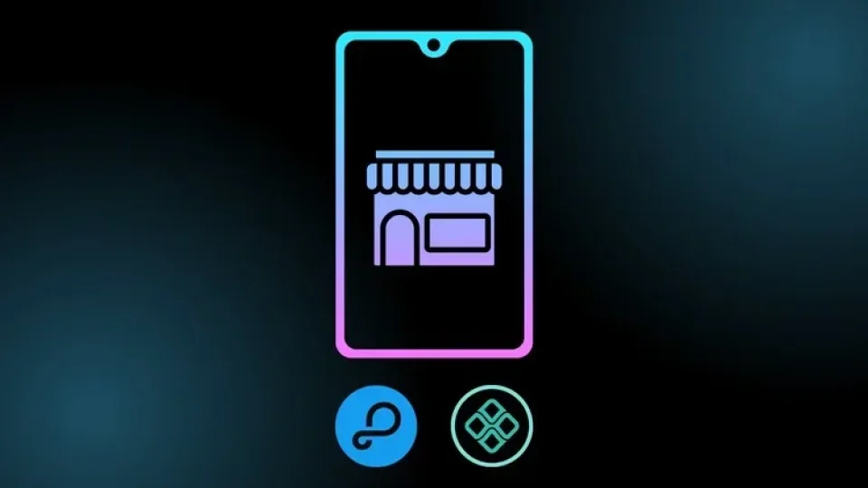 Capa do curso Backend de UMA Loja Virtual + PIX – Udemy