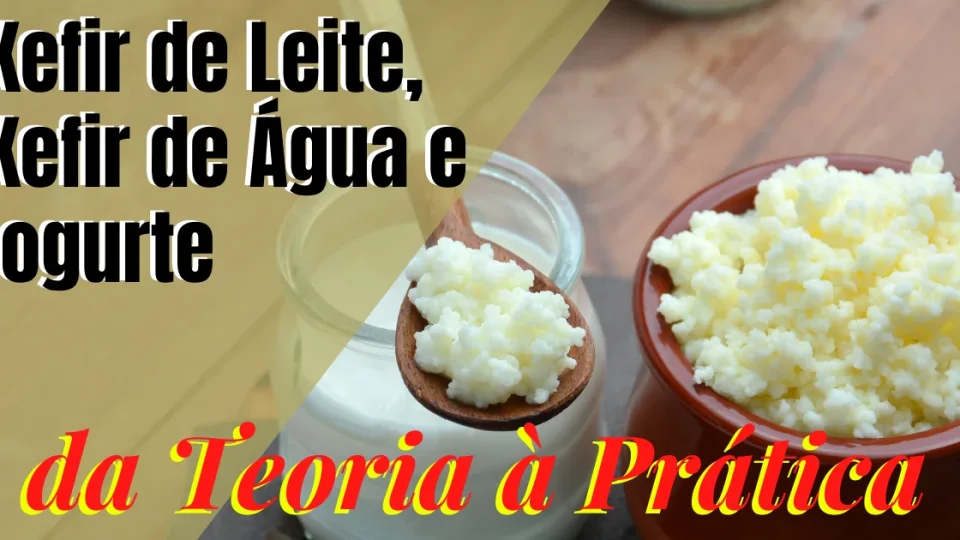 Capa do curso Kefir: da Teoria À Prática! – Afonso Lopes