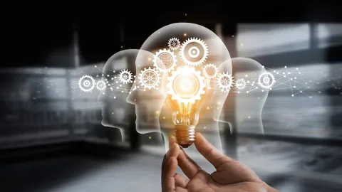 Neuroprodutividade – Frederico Porto