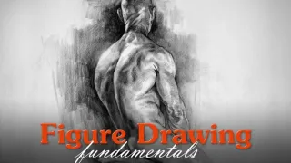 Figure Drawing Fundamentals – Proko