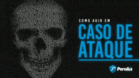 Boas Práticas em Cibersegurança – Vinicius Perallis