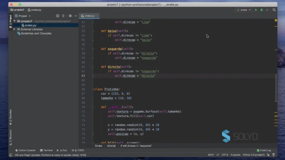 Capa do curso Python Profissional na Prática – Guilherme Junqueira