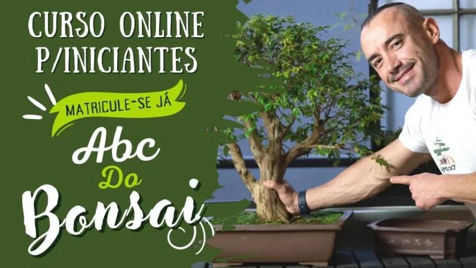 Capa do curso Bonsai Online para Iniciantes – ABC do Bonsai