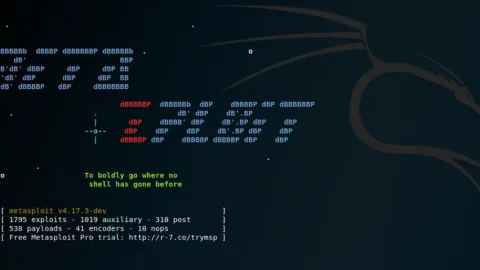 Kali Linux – Hackeando do Zero com Metasploit