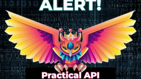 Practical API Hacking – TCM