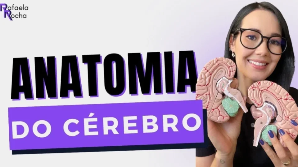 Capa do curso Anatomia dos Transtornos Mentais – Rafaela Rocha