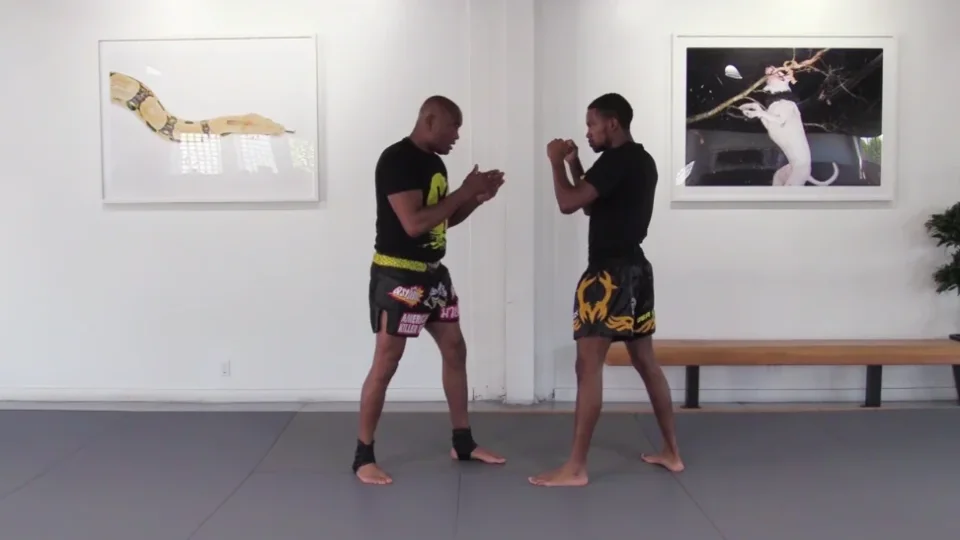 Capa do curso Pack de Cursos de Artes Marciais – Vários Autores